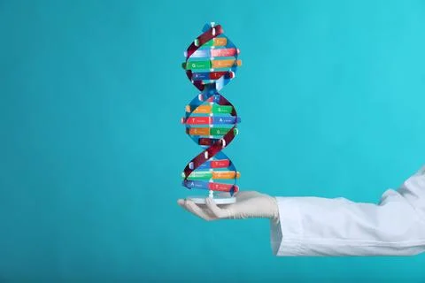 Scientist holding DNA structure model on light blue background, closeup 스톡 사진