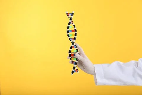Scientist holding DNA structure model on yellow background, closeup Foto stock