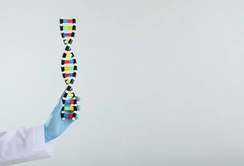 Scientist holding DNA structure model on white background, closeup. Space f.. 스톡 사진
