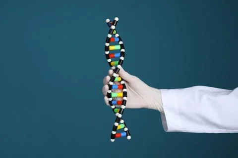 Scientist holding DNA structure model on dark blue background, closeup Stock Photos
