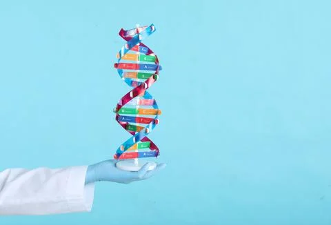 Scientist holding DNA structure model on light blue background, closeup. Sp.. 스톡 사진