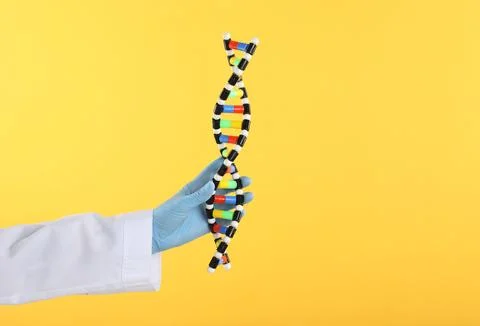 Scientist holding DNA structure model on yellow background, closeup Stock Photos