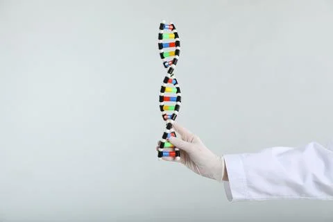 Scientist holding DNA structure model on white background, closeup 스톡 사진