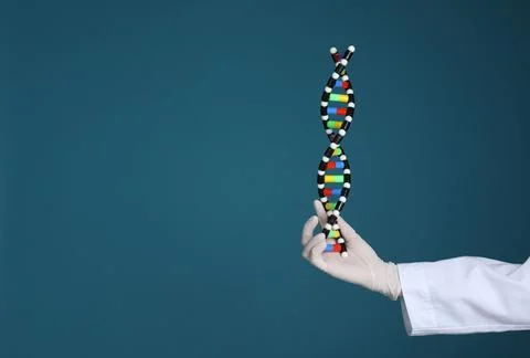 Scientist holding DNA structure model on dark blue background, closeup. Spa.. 스톡 사진