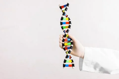 Scientist holding DNA structure model on white background, closeup. Space f.. Stock Photos