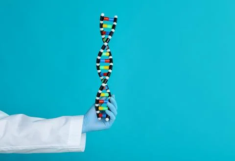 Scientist holding DNA structure model on light blue background, closeup. Sp.. 스톡 사진