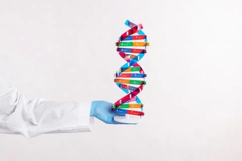 Scientist holding DNA structure model on white background, closeup Stock Photos