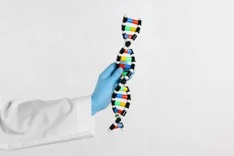 Scientist holding DNA structure model on white background, closeup 스톡 사진