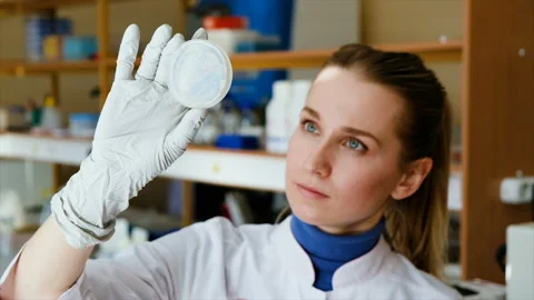 Scientist is holding in hand closed glass petri dish and counts bacterial Stock Footage 87119084