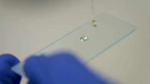 Scientist holding sample to study in laboratory Stock Footage 133377951