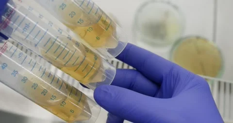 Scientist holding three large test tubes Stock Footage 318013987