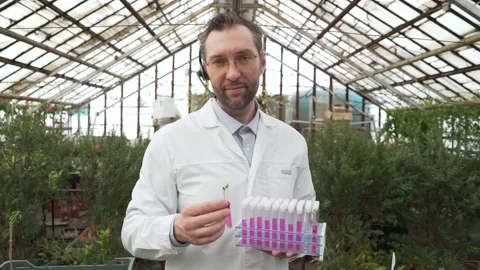 Scientist holds test tubes with plants in his hands. Bioengineering, GMOs Stock Footage 185362177
