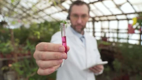 Scientist holds test tubes with plants in his hands. Bioengineering, GMOs Stock Footage 186008135