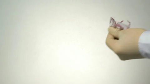 The scientist holds a white laboratory mouse on his arm. Stock Footage 87928498