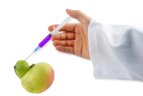 Scientist Injecting Fluid into Apple Stock Photos