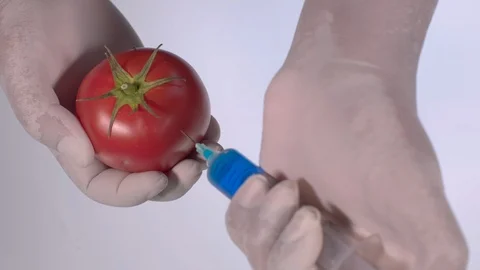 Scientist Injecting a Tomato Video stock 123318753