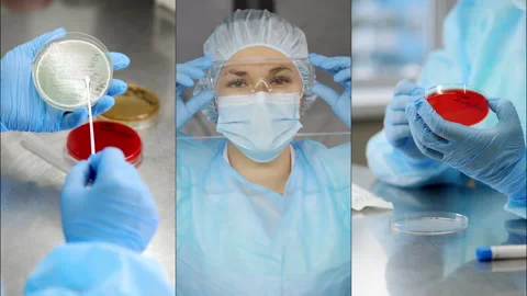 A scientist inoculates a patient's sample onto a petri dish. Stock Footage 306817845