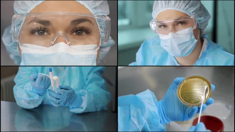 A scientist inoculates a patient's sample onto a petri dish. Stock Footage 306818009