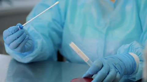 A scientist inoculates a patients sample onto a petri dish. Video stock 314343448