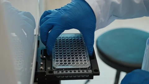 Scientist Inserting Microplate into Laboratory Analyzer for Sample Testing Video stock 308044029