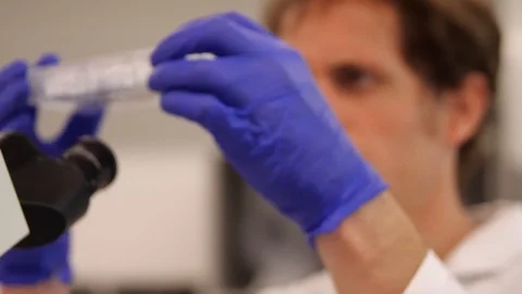 Scientist inspecting cells and looking through microscope Stock Footage