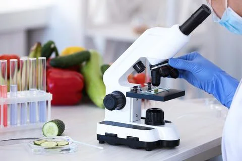 Scientist inspecting cucumber with microscope in laboratory, closeup. Food qu Stock Photos