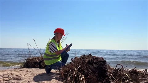 Scientist kneels on sandy beach, recording water samples Vídeo Stock 336704089