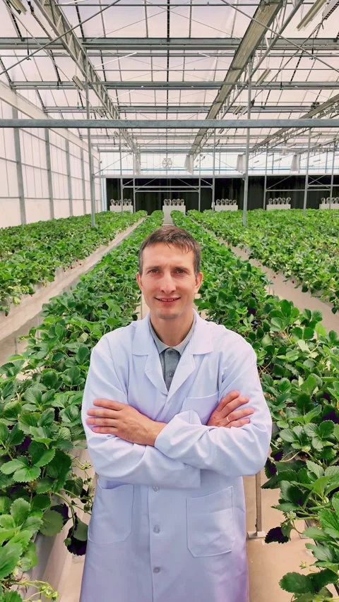 Scientist in a lab coat standing in a modern greenhouse among rows of leafy crop 動画素材 315206472