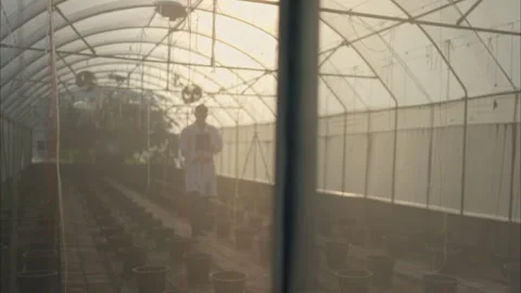 A scientist in a lab coat uses a tablet inside a greenhouse Video stock 311144664