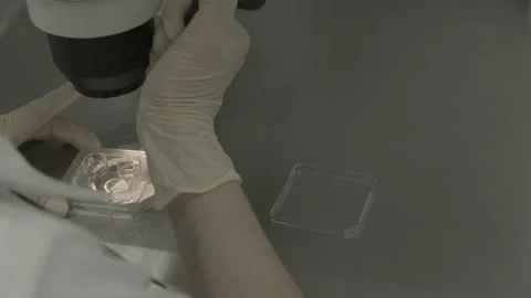 Scientist in Lab Coat Working with Chemical Samples and Equipment_2 Stock Footage 143160636