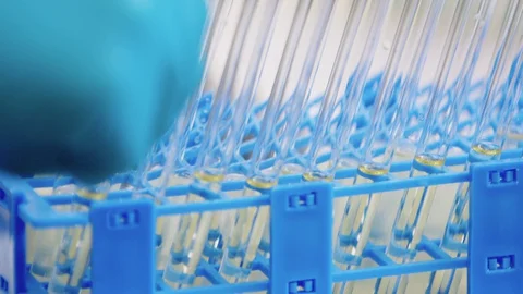 Scientist in lab puts tubes in a rack for scientific diagnostic test 動画素材 129918390