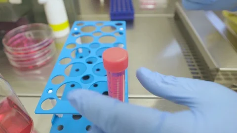 Scientist labelling a 15 ml reaction tube with medium under a cell culture bench Stock Footage 129494313