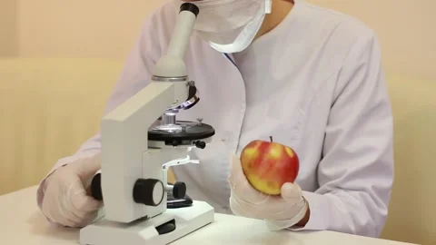 Scientist in the laboratory analyzes an apple Stock Footage 136258452