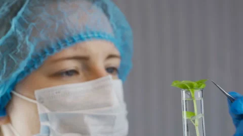 A scientist in a laboratory analyzes the soil and the plants inside to collect Stock Footage 103247371