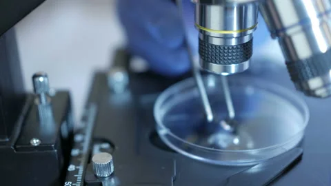 Scientist in a laboratory analyzes the soil inside to collect the DNA. Senior Stock-Footage 101384829
