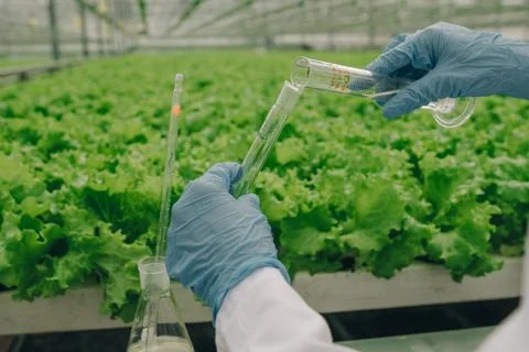 Scientist in laboratory coat using glassware to analyze plant samples in Stock Photos