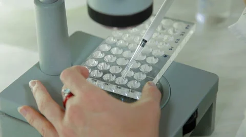 Scientist laboratory examining through microscope Stock-Footage 63614435