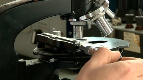 Scientist in the laboratory looks in a microscope Stock Footage 87905192