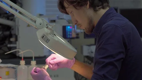 Scientist in a laboratory prepares samples for electron microscopy investigation Stock Footage 77980528