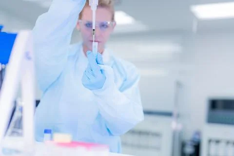 Scientist in laboratory preparing samples for analysis during a research ex.. Stock Photos