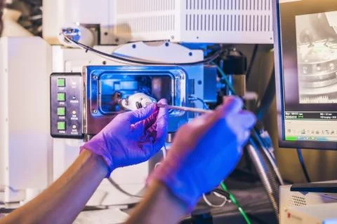 Scientist in a laboratory works with an electron microscope gateway. Putting  Foto stock