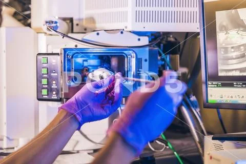 Scientist in a laboratory works with an electron microscope gateway. Putting Stock Photos