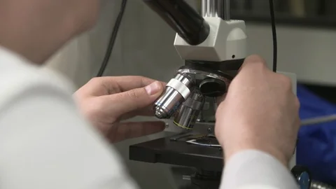 Scientist Looking into Microscope at laboratory Stock Footage 93523584