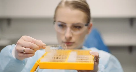 Scientist is looking at plates with bacteria at laboratory Video stock 126287346