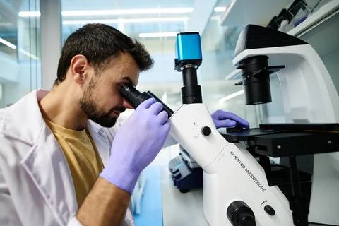 Scientist looking through an inverted microscope in a laboratory Фото
