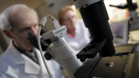 Scientist looking through a microscope in a laboratory. Stock Footage 100598219