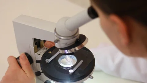 Scientist Looks at Biological Samples Under Microscope Video stock 129888848