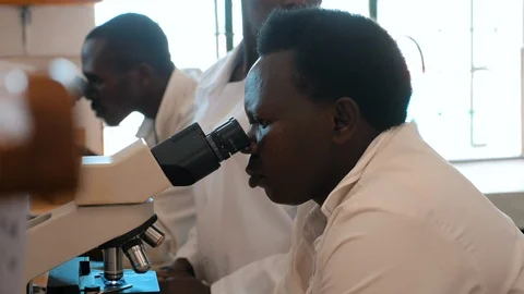 The Scientist looks through the microscope Vídeo Stock 126394509