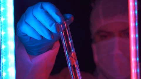 Scientist make a sciense experiment in genetically modified products. 库存影片 123977208