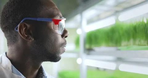 Scientist makes analysis of plants. Stock Footage 156065934